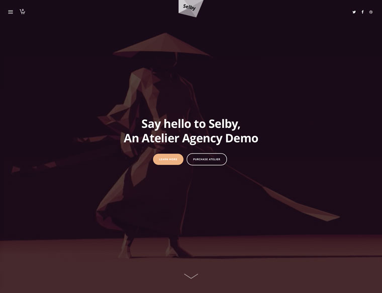 selby-demo